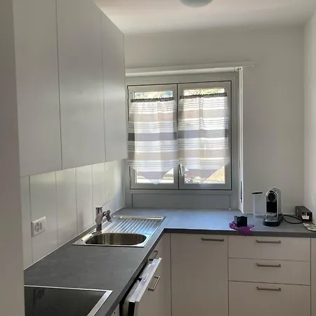 Condomino Stella Apartment Minusio